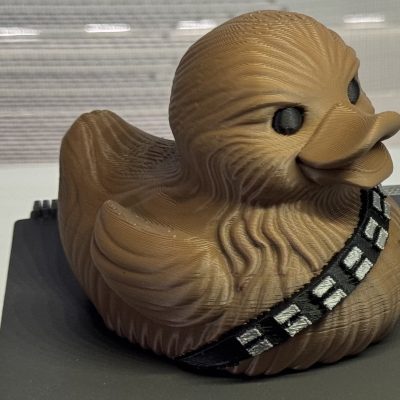 Chewbacca inspired Episode IV character duck
